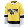 Dresovi Boston Bruins Fanatics NHL Stadium Series Premium Jeremy Swayman 2025-26 Gold - Muške